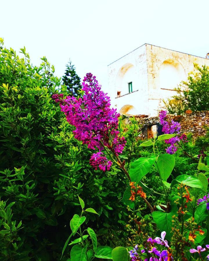 Masseria Delle Rose 1760 Alessano Exterior foto