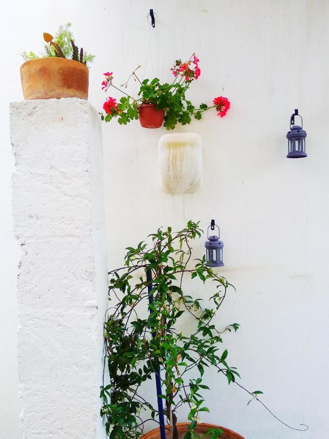 Masseria Delle Rose 1760 Alessano Exterior foto